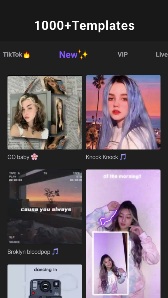 VivaCut Mod Apk