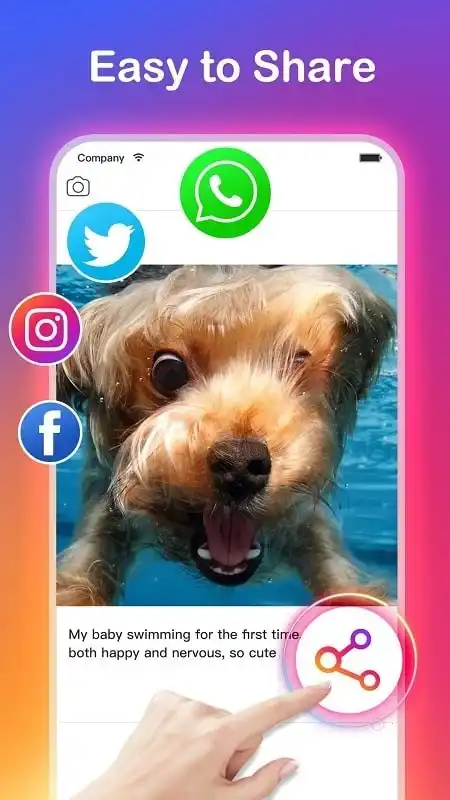 Insta Video Downloader Mod Apk