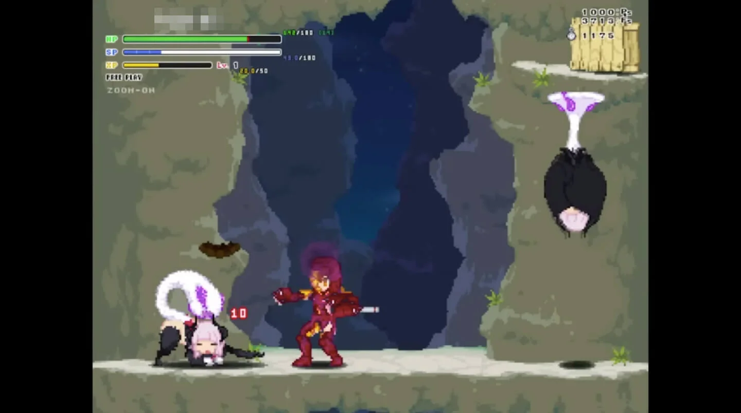 About the Echidna Wars DX