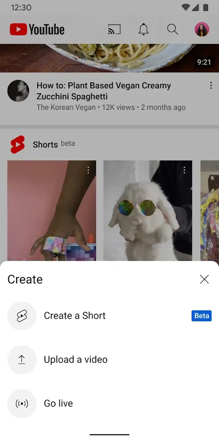 YouTube Pro APK