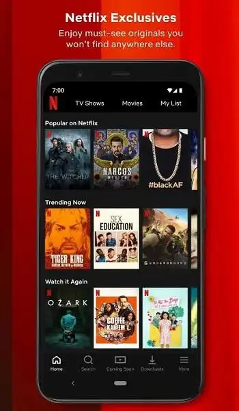 Features of Netflix Mirror APK
