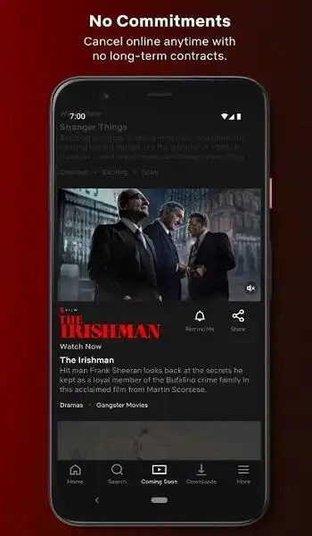 Netflix Mirror APK