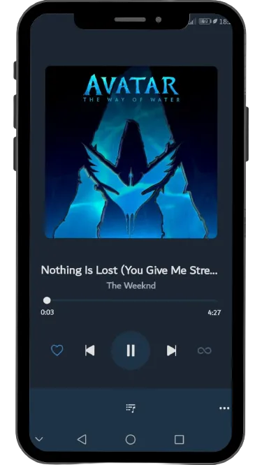 About the Vimusic