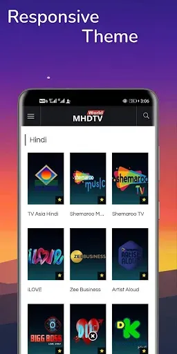 About the MHD TV World