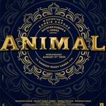 Animal Movie APK v10.8.2 Download For Android