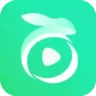 Pockettoon Mod APK