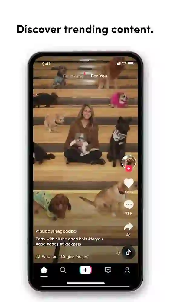TikTok Plugin