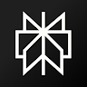 Perplexity AI APK