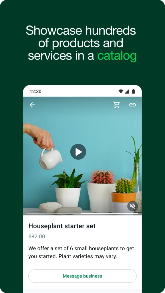 WhatsApp Business download